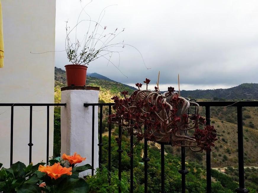 Sedella Posada Puente Romano מראה חיצוני תמונה
